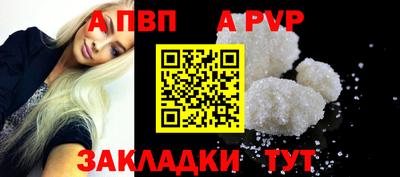 шишки Обь