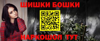 шишки Обь