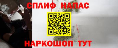 шишки Обь