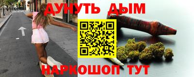 шишки Обь