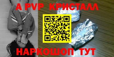 шишки Обь