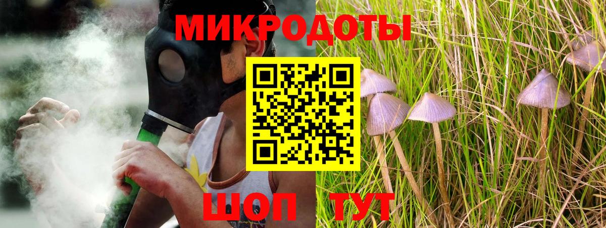 Будённовск  Псилоцибиновые грибы GOLDEN TEACHER  Вход с VPN  Галлюциногенные грибы Cubensis 